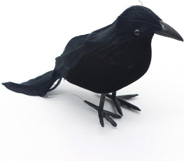5er Set Künstliche Schwarze Krähen als Halloween Dekoration und Horror Requisiten aus Kunststoff - Bild 1