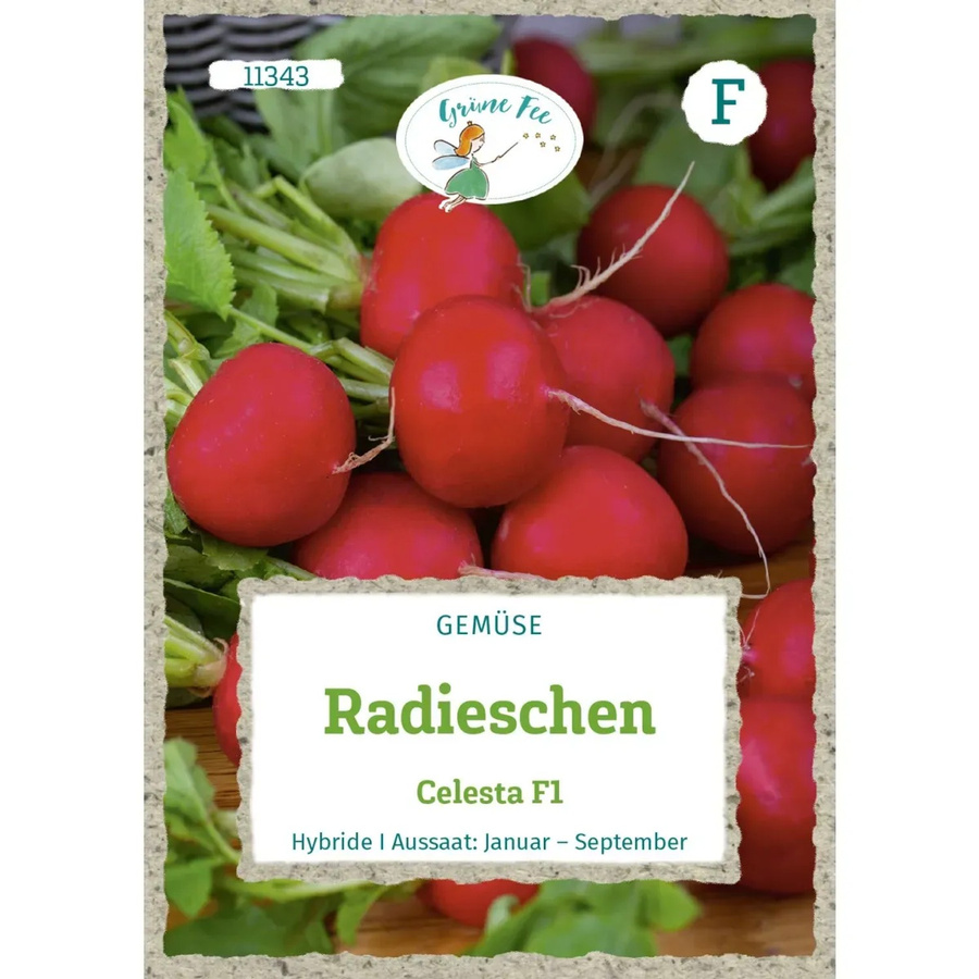 Grüne Fee Radieschen Celesta F1 Saatgut 250 g - Bild 2