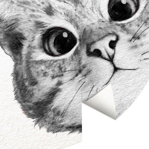 K&L Wall Art Vliestapete Runde Vliestapete Graves Kleine Katze Kätzchen, mehrfarbig, matt, B/H: 236 x 236 cm - Bild 2