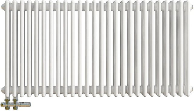 Duschparadies Traditioneller Heizkörper in Gusseisen-Optik mit 3 Säulen, Weiß, B/H: 60 x 119 cm, 1828W - Bild 1