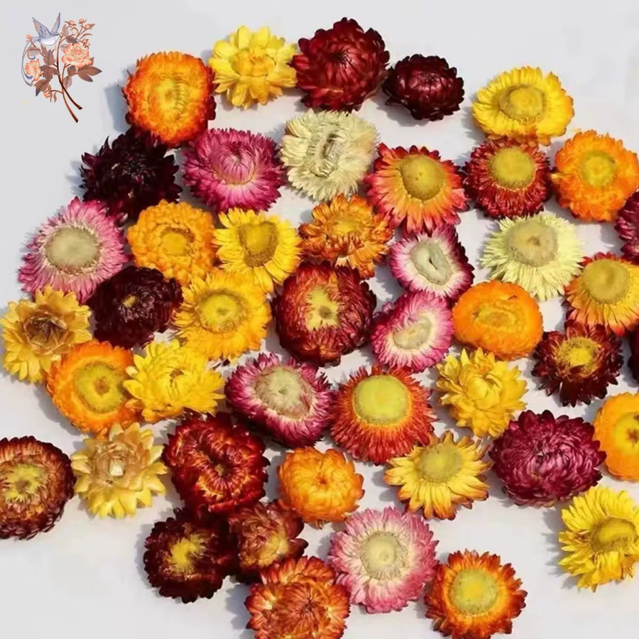 100 Stück getrocknete Blumenmischung aus Gänseblümchen, Sonnenblumen und Chrysanthemen in Mehrfarbig für DIY-Handwerk und Tischdekoration - Bild 2
