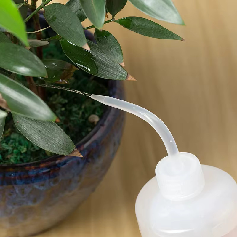 Transparente Kunststoff-Quetschflasche mit gebogener Düse und Waage zur Bewässerung von Sukkulenten und Pflanzen, 250/500 ml - Bild 4