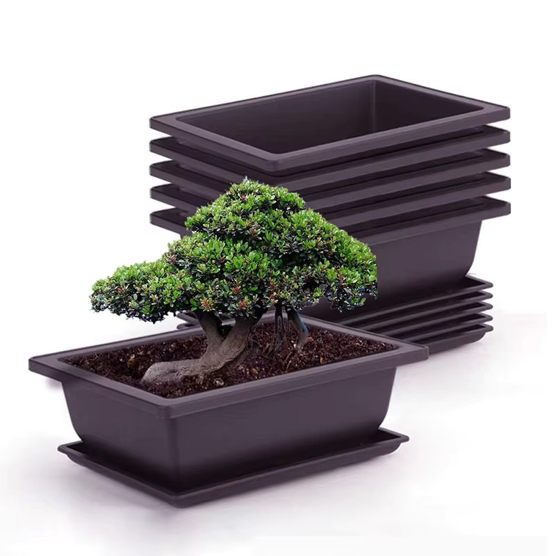 Quadratischer Blumentopf aus Kunststoff für Balkon und Bonsai - Bild 2