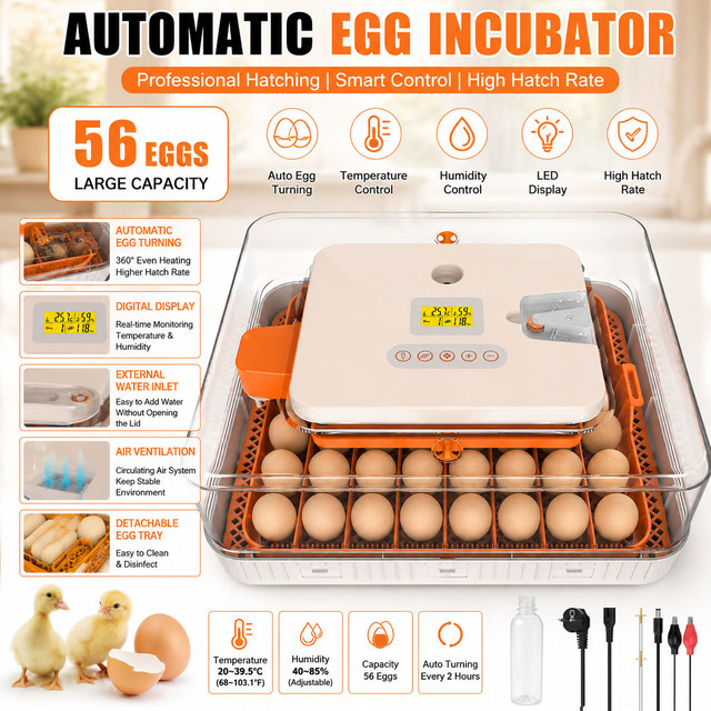 Avehrit Automatischer Eierinkubator für 56 Eier, Digitale Brutmaschine mit automatischer Wendefunktion und Temperatur- sowie Feuchtigkeitsüberwachung, LED-Bildschirm, Farbe: Weiß - Bild 1