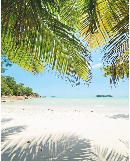Komar Fototapete Vlies Under The Palmtree Multicolor B: 200 cm, H: 250 cm - Bild 1