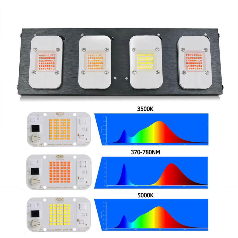 YXO YUXINOU 2000W COB LED Pflanzenlampe mit Vollspektrum für Indoor Growbox, Blumen, Gemüse und Sämlinge - Bild 2