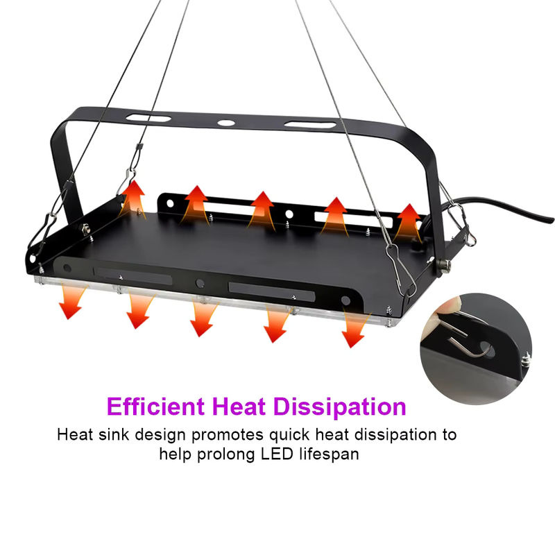 YNL Full Spectrum LED Pflanzenlampe für Gewächshaus und Hydrokultur mit EU-Stecker - Bild 3