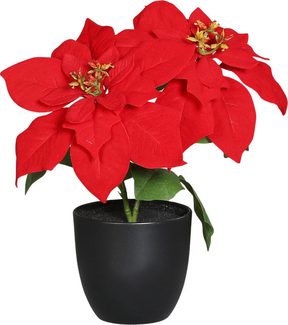 Künstliche Poinsettia Cady von Aplanta im Topf, Höhe: 32 cm - Bild 1
