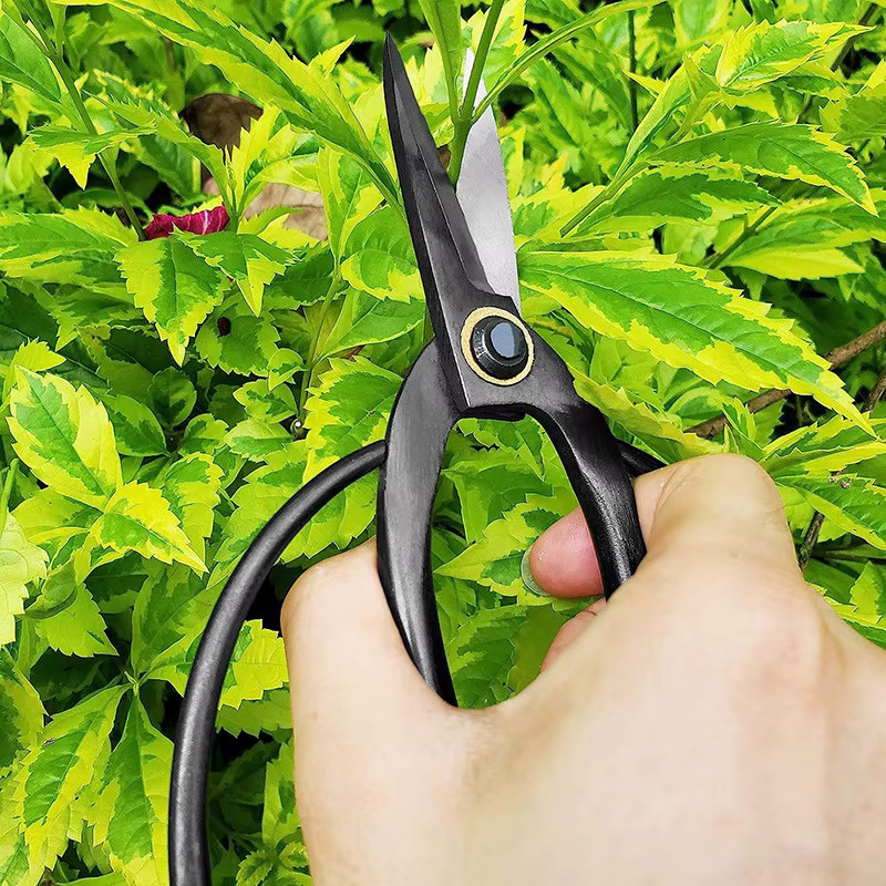 TQSDYY Profi Garten-Beschneiderschere aus High Carbon Stahl in Schwarz für Bonsai, Wurzeln und Pfropfarbeiten - Bild 6