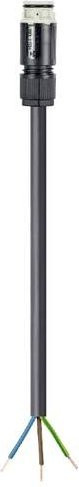 Wieland Electric Anschlussleitung Schwarz 4L.437.0537.8 - Bild 1