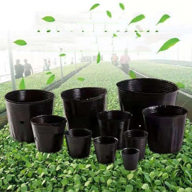 100 Stück schwarze Kunststoff-Sämlingstöpfe zur Samenkeimung und für die Gartenarbeit - Bild 1