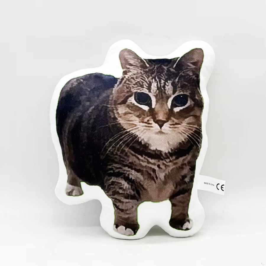 oiiai Internet Celebrity Cat Alien-Kissen, Plüschkissen, bunt - Bild 2