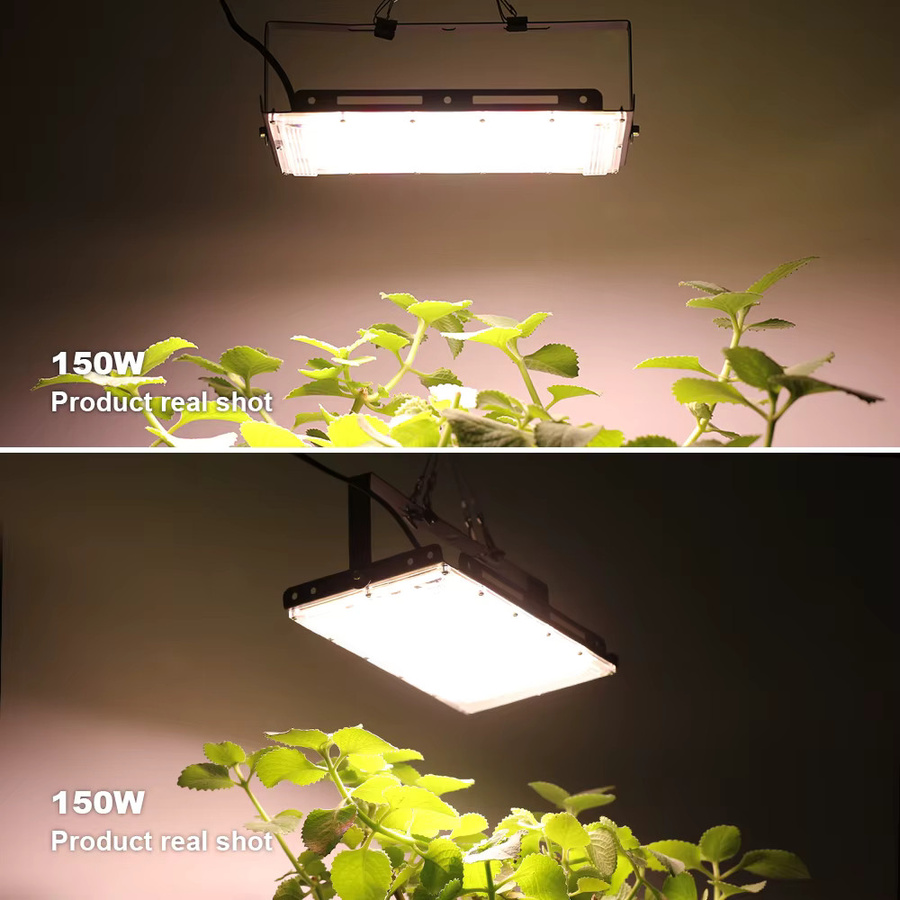 PARKSON LED Pflanzenwachstumslampe Vollspektrum mit EU-Stecker in Schwarz - Bild 4