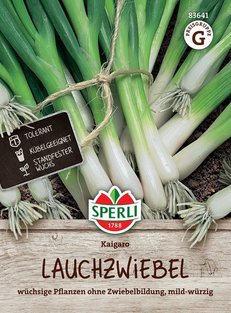 SPERLI Lauchzwiebel-Samen Kaigaro - Bild 1