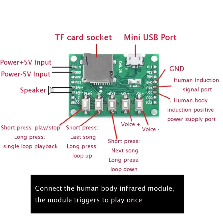 DIYmall MP3-Musik-Sprachwiedergabe-Kit mit PIR-Infrarot-Sensor und USB-Download sowie TF-Karten-Unterstützung - Bild 2