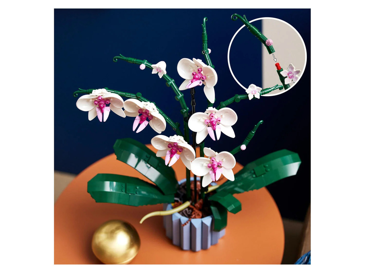 LEGO Icons Orchidee 10311 Dekoration in Weiß, Rosa, Blau und Braun - Bild 4