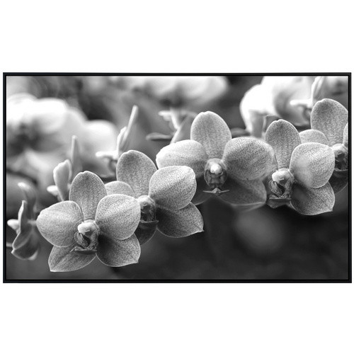 papermoon EcoHeat Infrarotheizung Blumen Schwarz Weiss mit Matt-Effekt und App-Steuerung - Bild 2