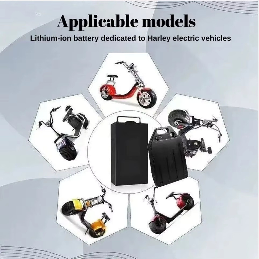 Ddadache Lithium-Batterie 60V wasserdicht und kältebeständig in Schwarz für Citycoco Harley Roller 250W bis 1500W inklusive 67,2V Ladegerät - Bild 4