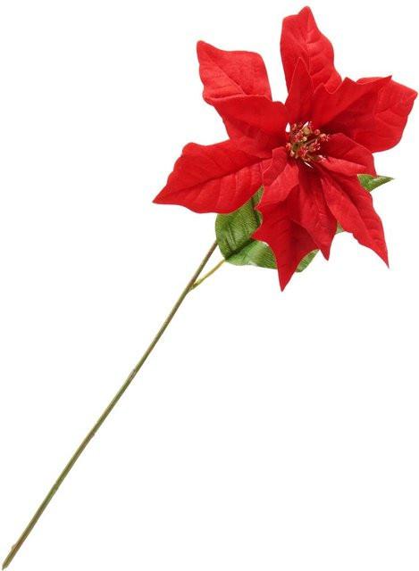 Weihnachtsstern-Zweig Gloria in Rot, Länge: 45 cm - Bild 1