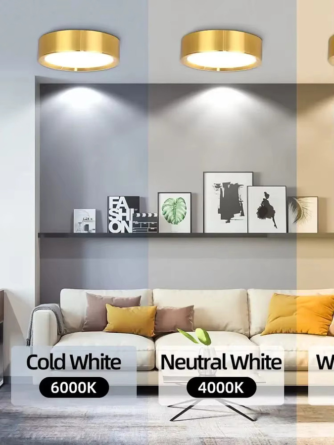 CANMEIJIA Ultradünnes LED-Downlight mit 3 einstellbaren Farben für die Oberflächenmontage, 15 W - Bild 5