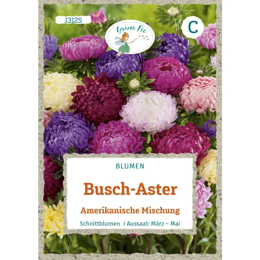 Grüne Fee Busch-Aster Amerikanische Mischung Saatgut für Beete und Rabatten - Bild 2