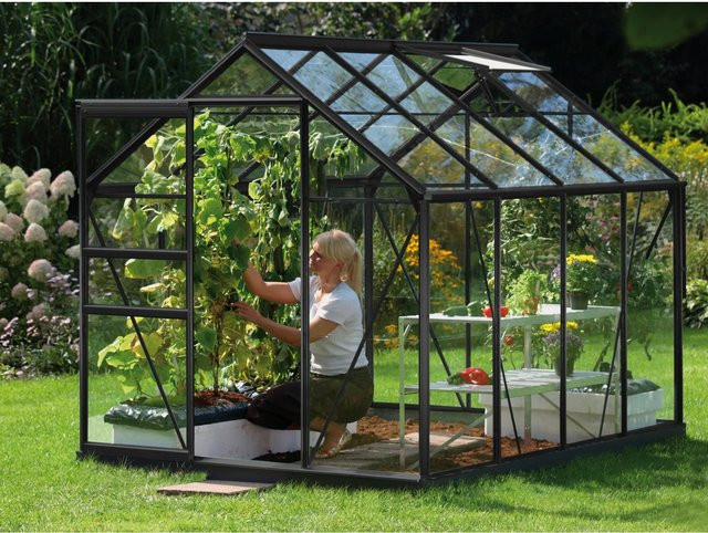 Vitavia Gewächshaus Venus 5000 Schwarz 5 m² mit Einscheibensicherheitsglas und Schiebetür - Bild 4