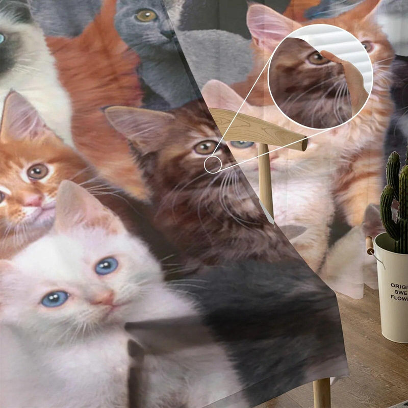 A Family Of Home Textiles Transparenter Tüllvorhang mit Katzen-Motiv, Mehrfarbig, B: 135 cm, H: 114 cm - Bild 3