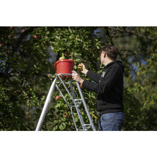 Niwaki Gartenleiter aus Aluminium in Silber mit 3 Holmen - Bild 7