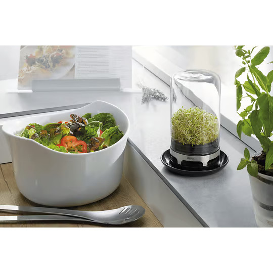 Sprossenglas Gefu transparent B: 14,0 cm, T: 18,0 cm - Bild 2