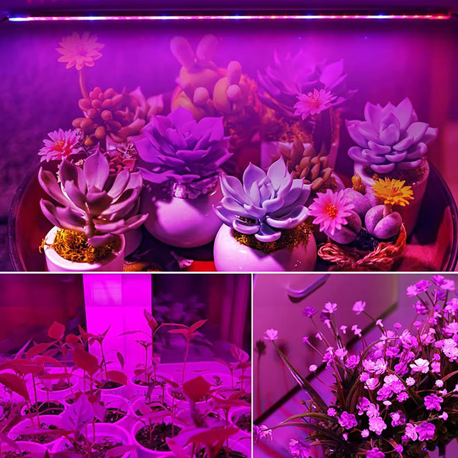 Lcamaw LED-Wachstumslampe Vollspektrum-Leiste in Weiß für Pflanzenkultivierung, Hydroponik und Gewächshäuser, Breite: 30 cm - Bild 2