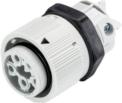 Wieland Electric 46.051.5053.0 Geräteanschluss in Grau und Weiß - Bild 1