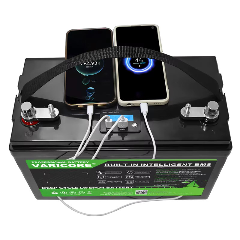 VariCore 12V 120Ah LiFePO4 Akku-Pack, 12,8V Lithium-Batterie in Schwarz für Wohnmobile, Golfcarts und Solar- oder Windanlagen - Bild 5