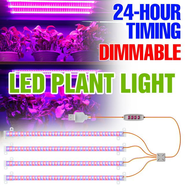LED-Pflanzenlichtleiste USB mit Vollspektrum-Beleuchtung und 24-Stunden-Timer in Weiß für Hydrokultur und Topfobst - Bild 1