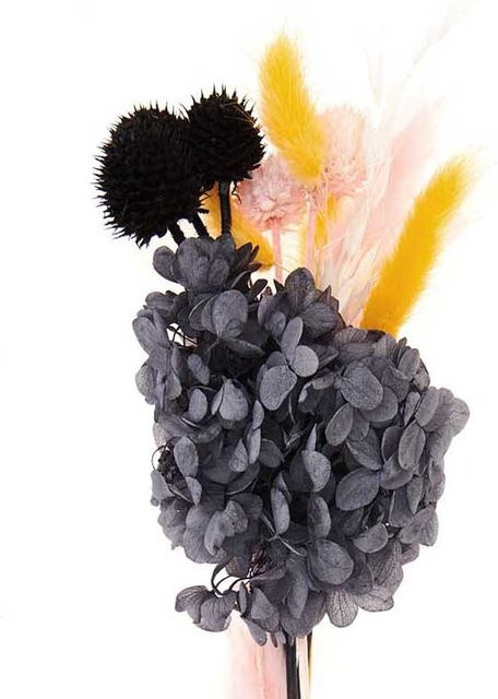 Rico Design Trockenblumenstrauß in Pastell und Schwarz aus Naturmaterial, Höhe: 30 cm - Bild 1