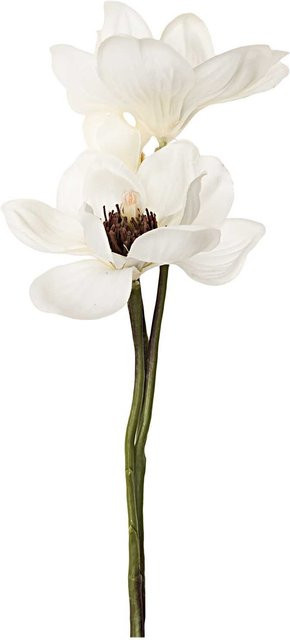 idee. Creativmarkt Anemonenzweig in Weiß, Höhe: 41 cm - Bild 1