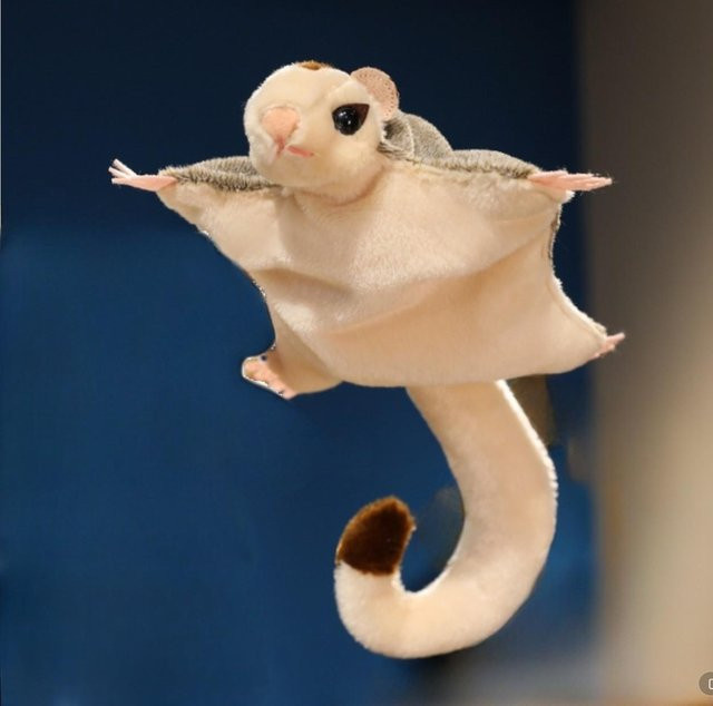 Cartoon-Zuckergleiter Flugmaus Plüschtier, beige - Bild 1