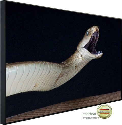 papermoon Infrarotheizung EcoHeat Schwarze Mamba angreifen mit App-Steuerung und Überhitzungsschutz, bunt, Matt-Effekt - Bild 1