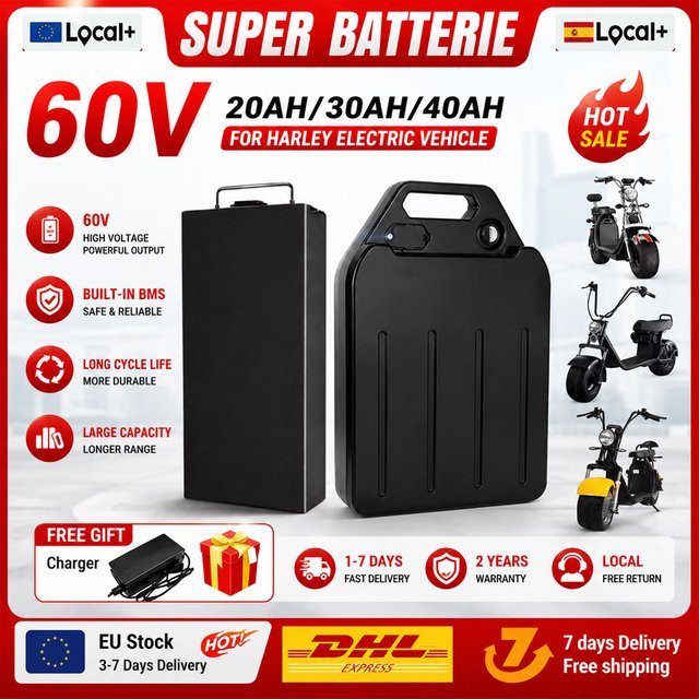 Lithium-Batterie für Harley und CityCoco Elektroroller, 60V, Schwarz - Bild 1