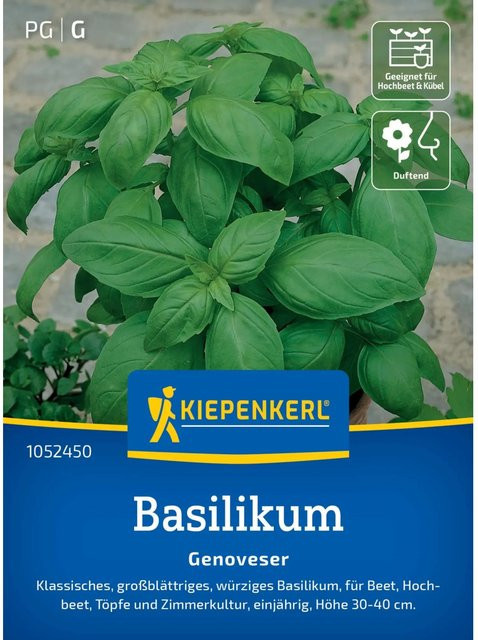 Kiepenkerl Basilikum Genoveser Kräutersamen - Bild 1