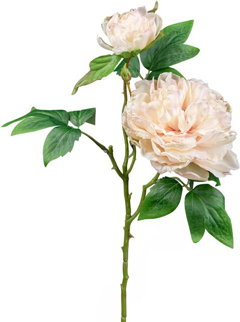 GASPER Kunstblume Peonie in Beige und Pink aus Kunststoff - Bild 1