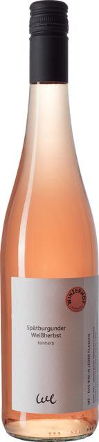 Winzerhof Ebringen Roséwein Pinot Noir 2023, Baden, feinherb, 0,75 l - Bild 1