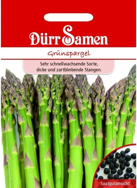 Dürr Grünspargel Saatgut für den Gemüsegarten - Bild 1