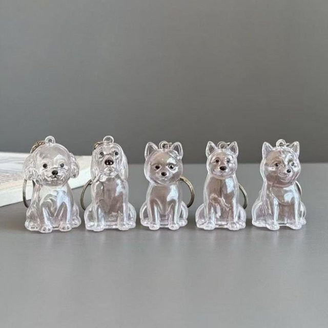 Hoeaden Transparente Hundehaar-Andenken-Kapsel als Taschenanhänger aus Kunststoff zur Aufbewahrung und Gedenkdekoration - Bild 1