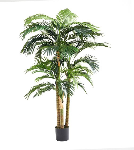 Künstliche Goldfruchtpalme von Aplanta, Höhe: 180 cm - Bild 1