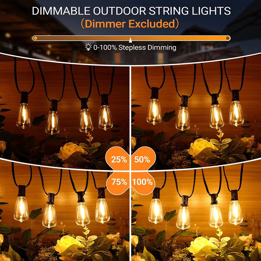 Topdii LED Globe String Fairy Lights ST38, dimmbare transparente Kugellampen für Outdoor und Party - Bild 3
