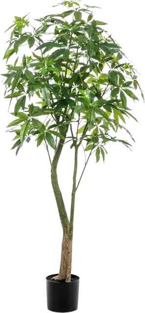 Künstliche Pflanze Aplanta Pachira Pablo, Höhe: 180 cm - Bild 1