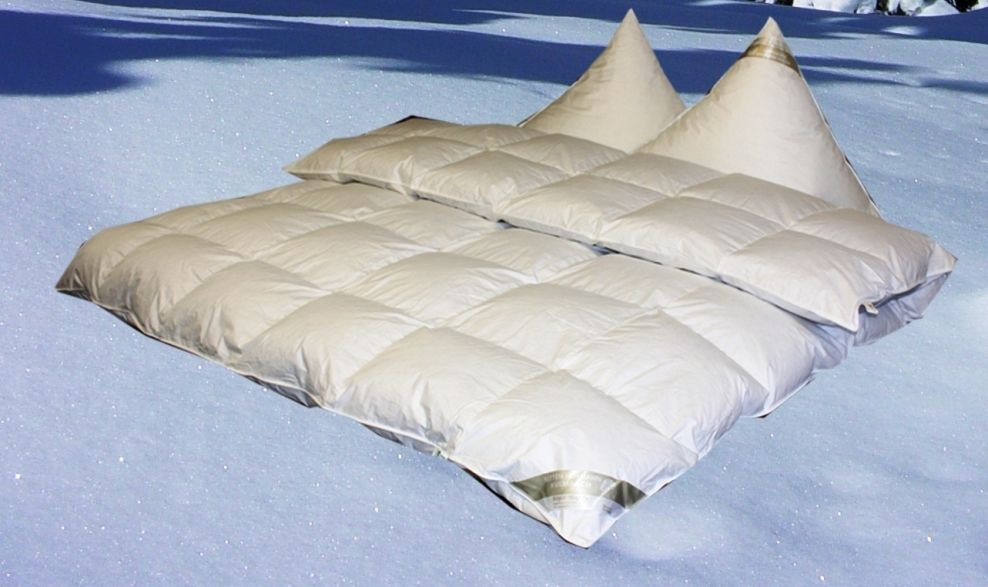 Betten Hofmann Eiszeit Premium Winter Daunendecke mit Hochsteg, B/B: 200 x 220 cm - Bild 1