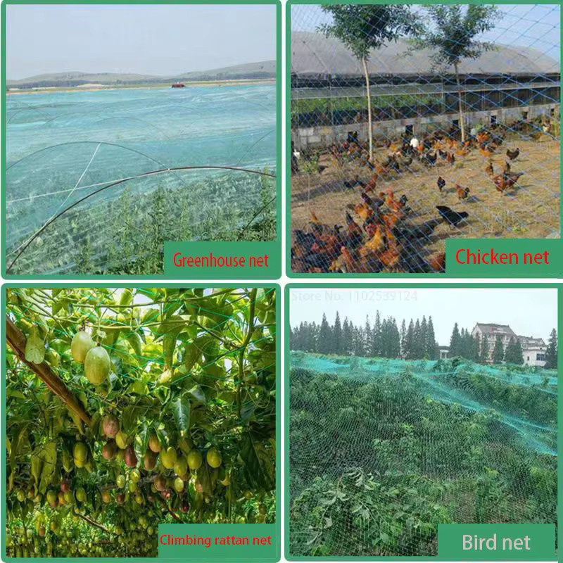 MAHFPME Gartennetz als wiederverwendbares Hochleistungs-Vogelnetz und Obstbaumnetz zum Schutz von Setzlingen und Gemüse, grün und weiß, B/B: 200 x 200 cm - Bild 5