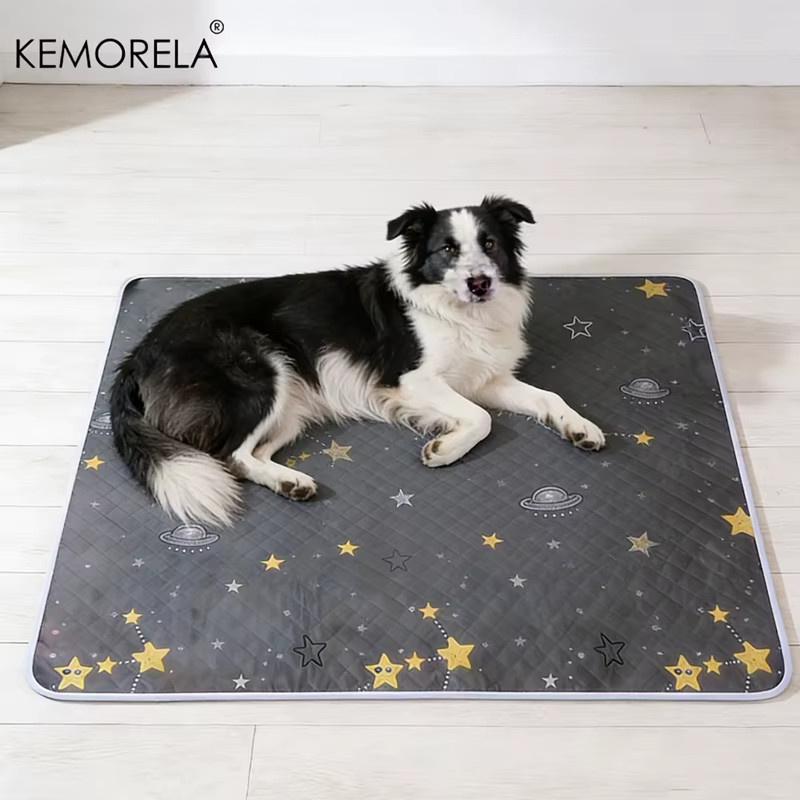 KEMORELA Hundetrainingsmatten Set, 2 Stück, waschbar und wiederverwendbar für Auto, Sofa und Outdoor - Bild 2