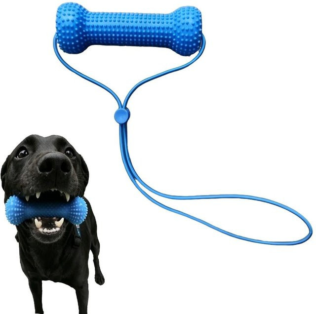 Binchi Outdoor Equipment Hundezahnbürste Kauspielzeug, Gummiknochen mit interaktivem Zerrseil - Bild 1